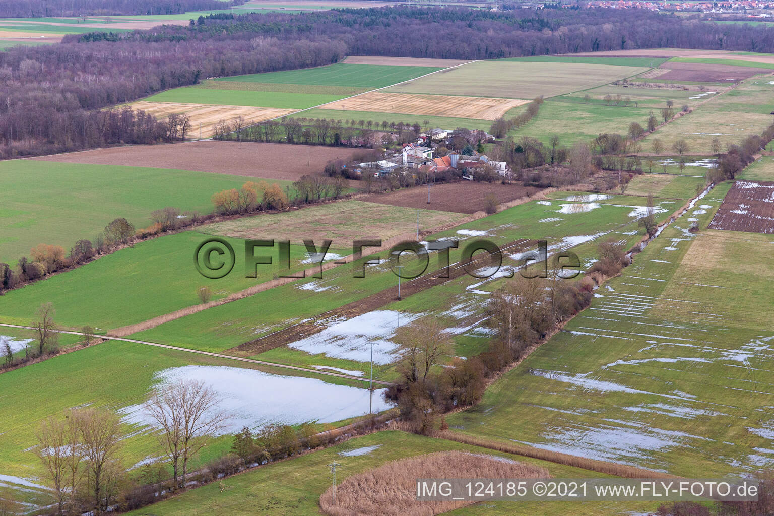 Überfluteter Bruchgraben, Buschurgraben, Flutgraben, Erlenbach in Steinweiler im Bundesland Rheinland-Pfalz, Deutschland