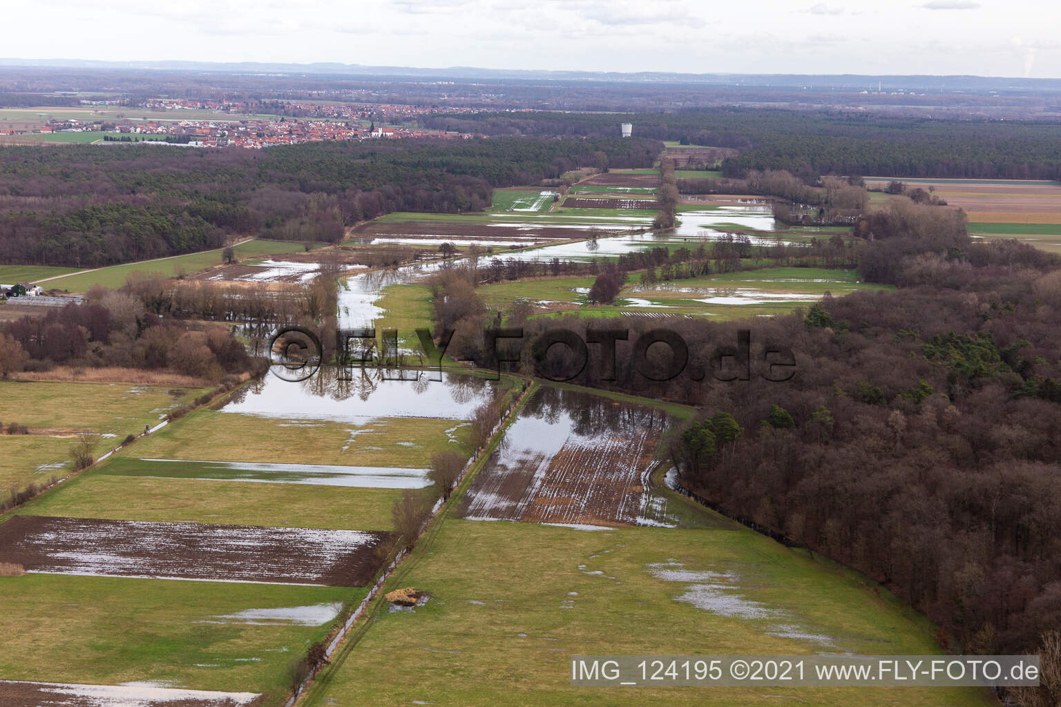 Überfluteter Mühlgraben, Birnbach, Erlenbach in Erlenbach bei Kandel im Bundesland Rheinland-Pfalz, Deutschland