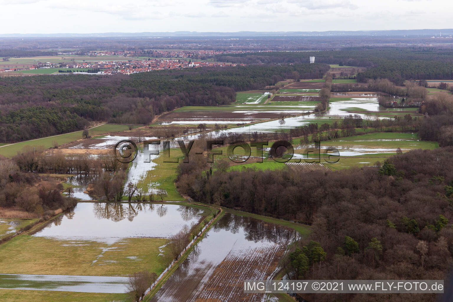Luftbild von Überflutete Flutungswiesen des Polder Neupotz am Hochwasser- Pegel führenden Flußbett des Rhein in Neupotz in Erlenbach bei Kandel im Bundesland Rheinland-Pfalz, Deutschland