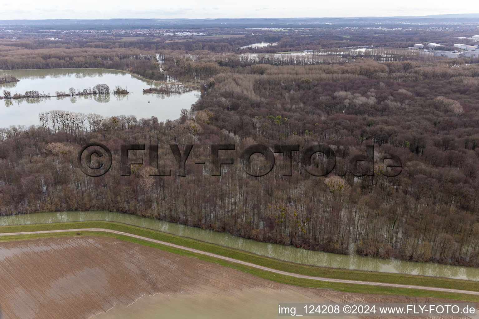 Überfluteter Altrhein / Polder Neupotz in Wörth am Rhein im Bundesland Rheinland-Pfalz, Deutschland