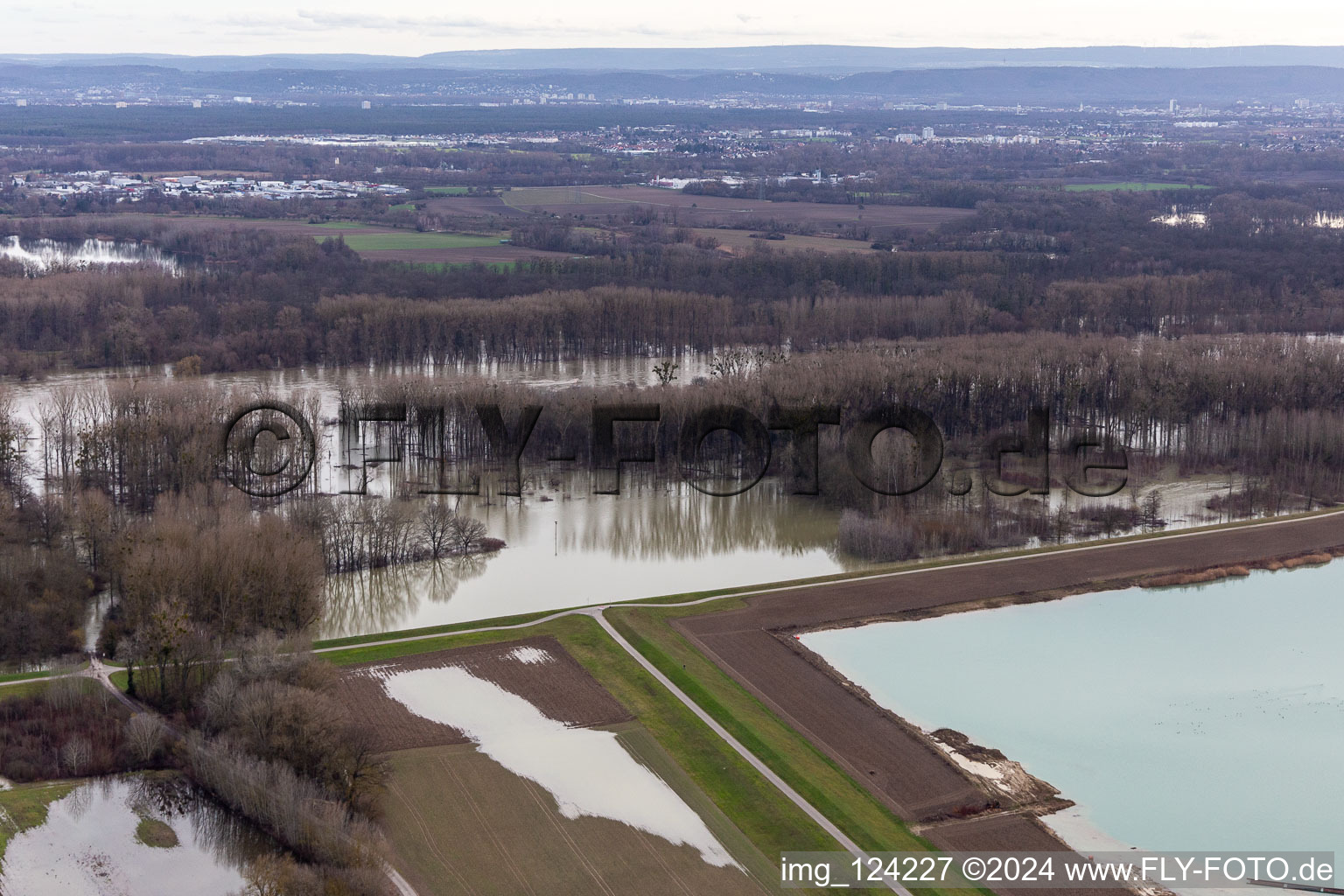 Überflutete Flutungswiesen des Polder Neupotz am Hochwasser- Pegel führenden Flußbett des Rhein in Neupotz im Bundesland Rheinland-Pfalz, Deutschland