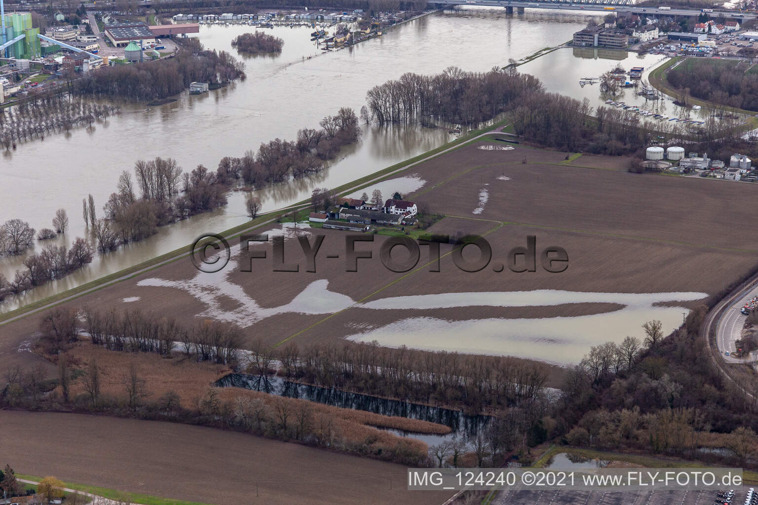 Luftbild von Hofgut Ludwigsau bei Rheinhochwasser im Ortsteil Maximiliansau in Wörth am Rhein im Bundesland Rheinland-Pfalz, Deutschland