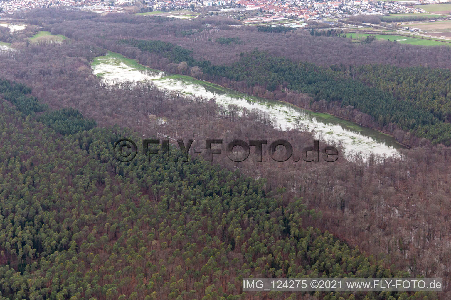 Otterbach mit überschwemmten Wiesen im Bienwald in Kandel im Bundesland Rheinland-Pfalz, Deutschland