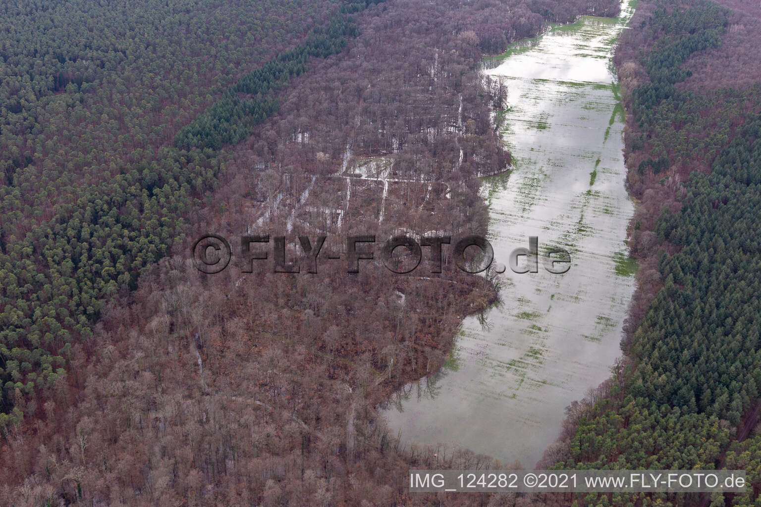 Luftaufnahme von Otterbach mit überschwemmten Wiesen im Bienwald in Kandel im Bundesland Rheinland-Pfalz, Deutschland