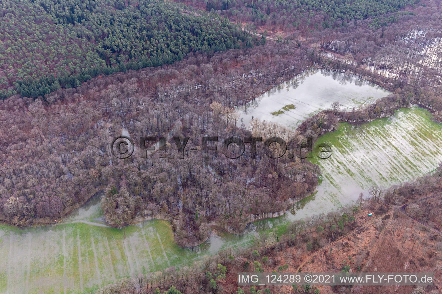 Otterbach und Bruchgraben mit überschwemmten Wiesen im Bienwald in Wörth am Rhein im Bundesland Rheinland-Pfalz, Deutschland