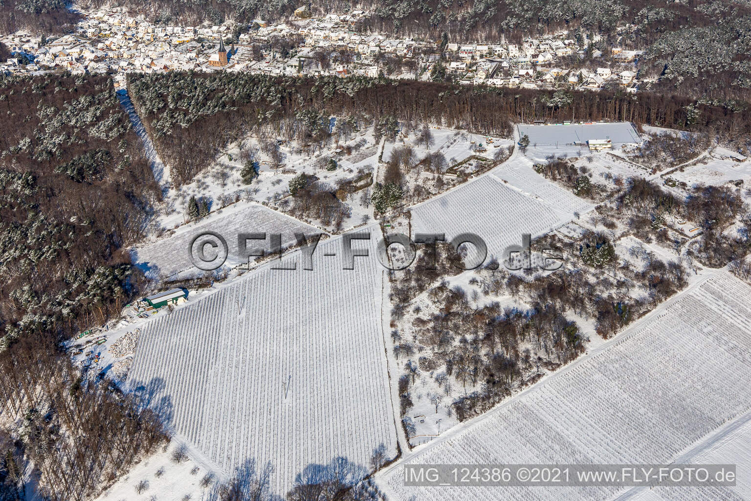 Winterluftbild im Schnee von Gartengrundstücken am Wald in Dörrenbach im Bundesland Rheinland-Pfalz, Deutschland