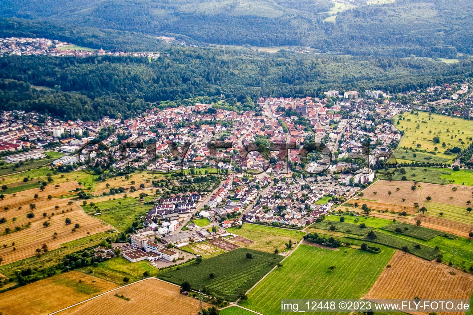Luftbild von Von Osten im Ortsteil Reichenbach in Waldbronn im Bundesland Baden-Württemberg, Deutschland