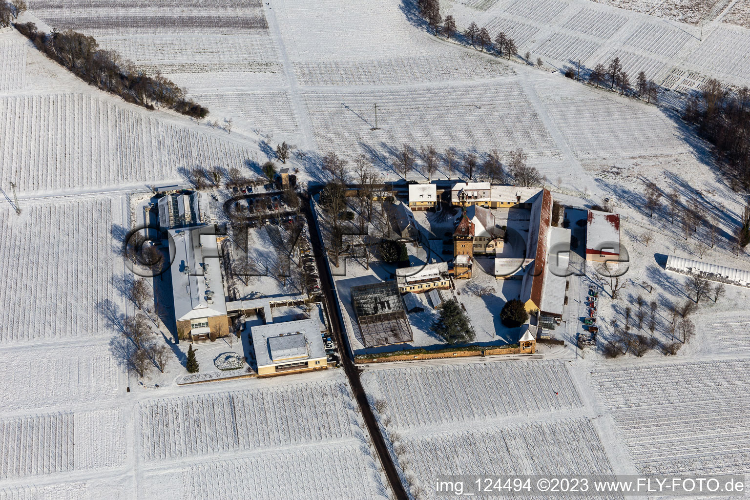 Winterlich schneebedeckte Gebäudekomplex des Julius Kühn-Institut Rebforschungsanstalt Geilweilerhof mit blühenden Mandelbäumen in Siebeldingen im Bundesland Rheinland-Pfalz, Deutschland