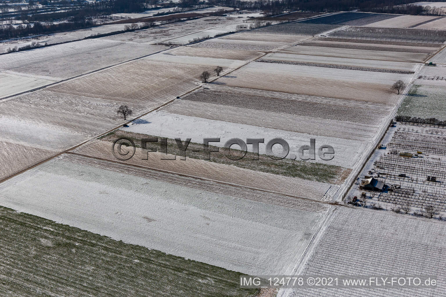 Winterluftbild im Schnee in Billigheim-Ingenheim im Bundesland Rheinland-Pfalz, Deutschland