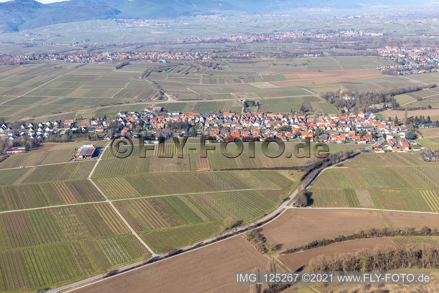 Ortsteil Wollmesheim in Landau in der Pfalz im Bundesland Rheinland-Pfalz, Deutschland aus der Luft betrachtet