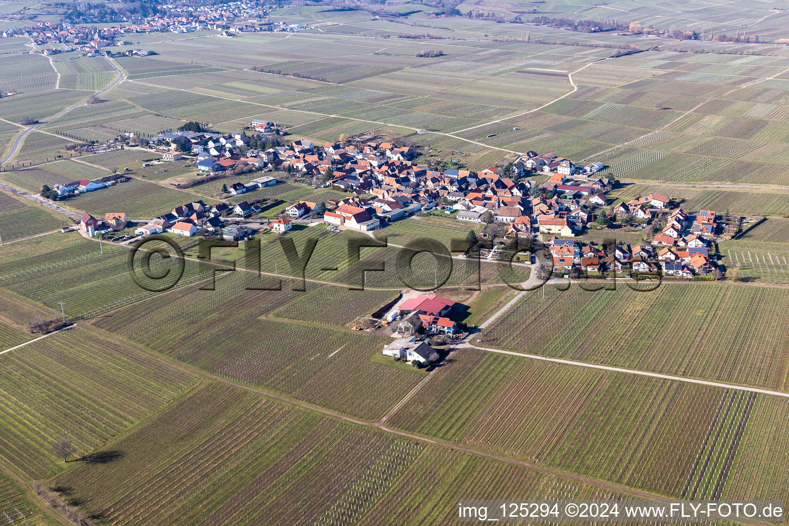 Flemlingen im Bundesland Rheinland-Pfalz, Deutschland aus der Luft