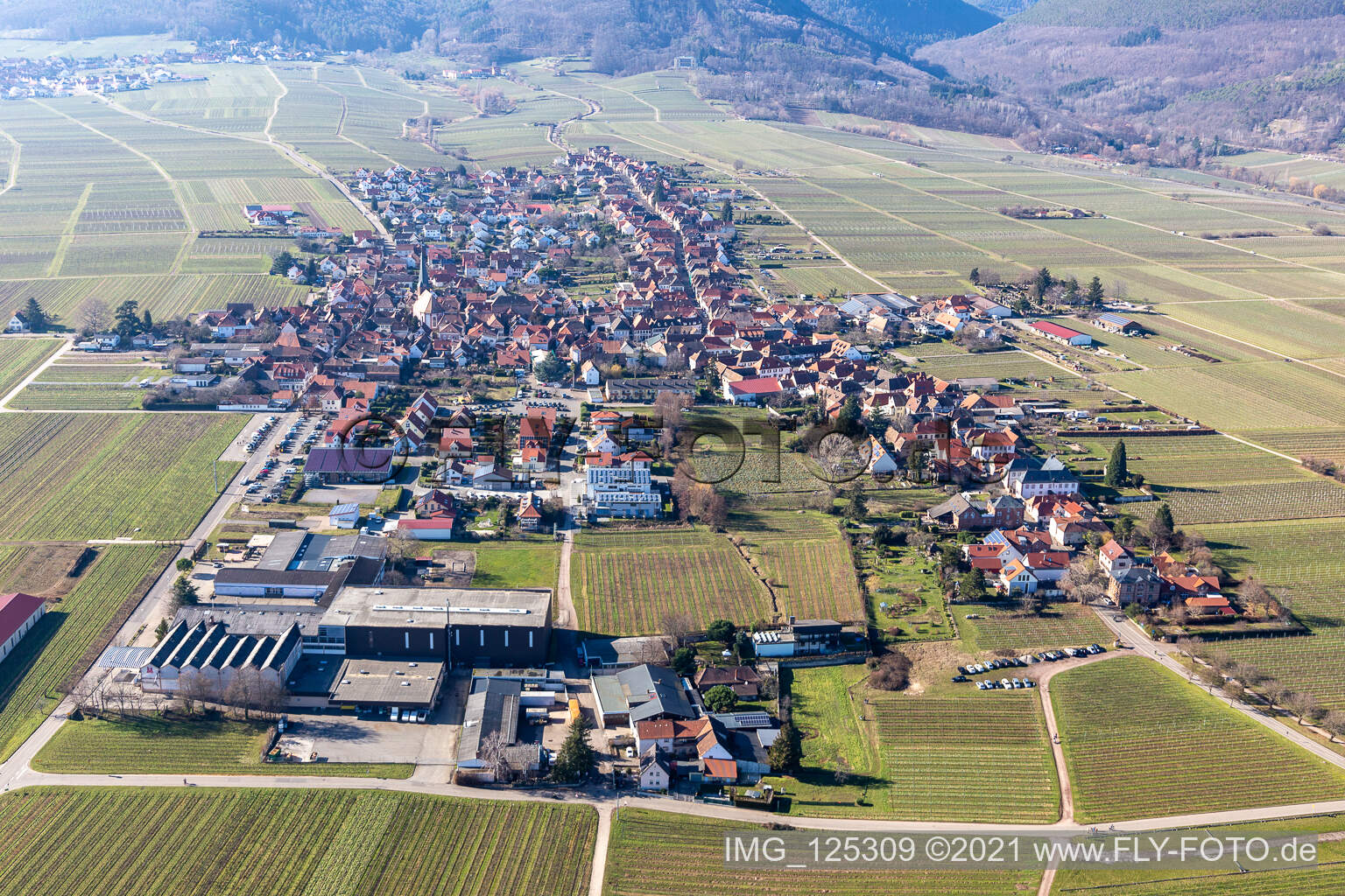 Drohnenbild von Rhodt unter Rietburg im Bundesland Rheinland-Pfalz, Deutschland