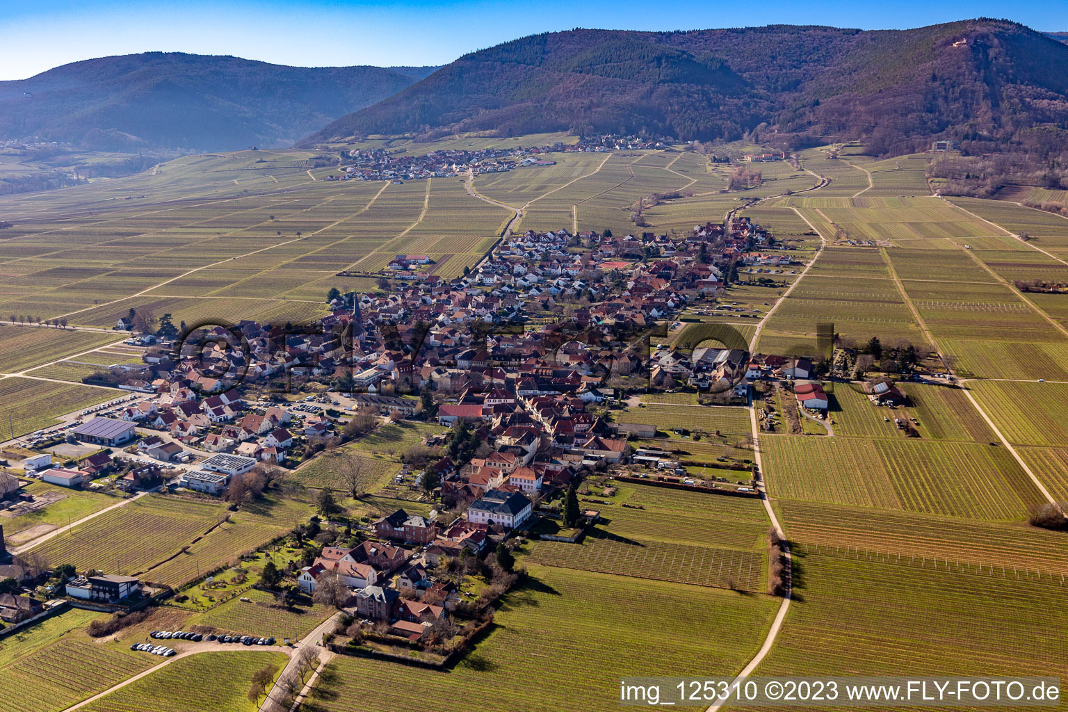 Rhodt unter Rietburg im Bundesland Rheinland-Pfalz, Deutschland aus der Drohnenperspektive