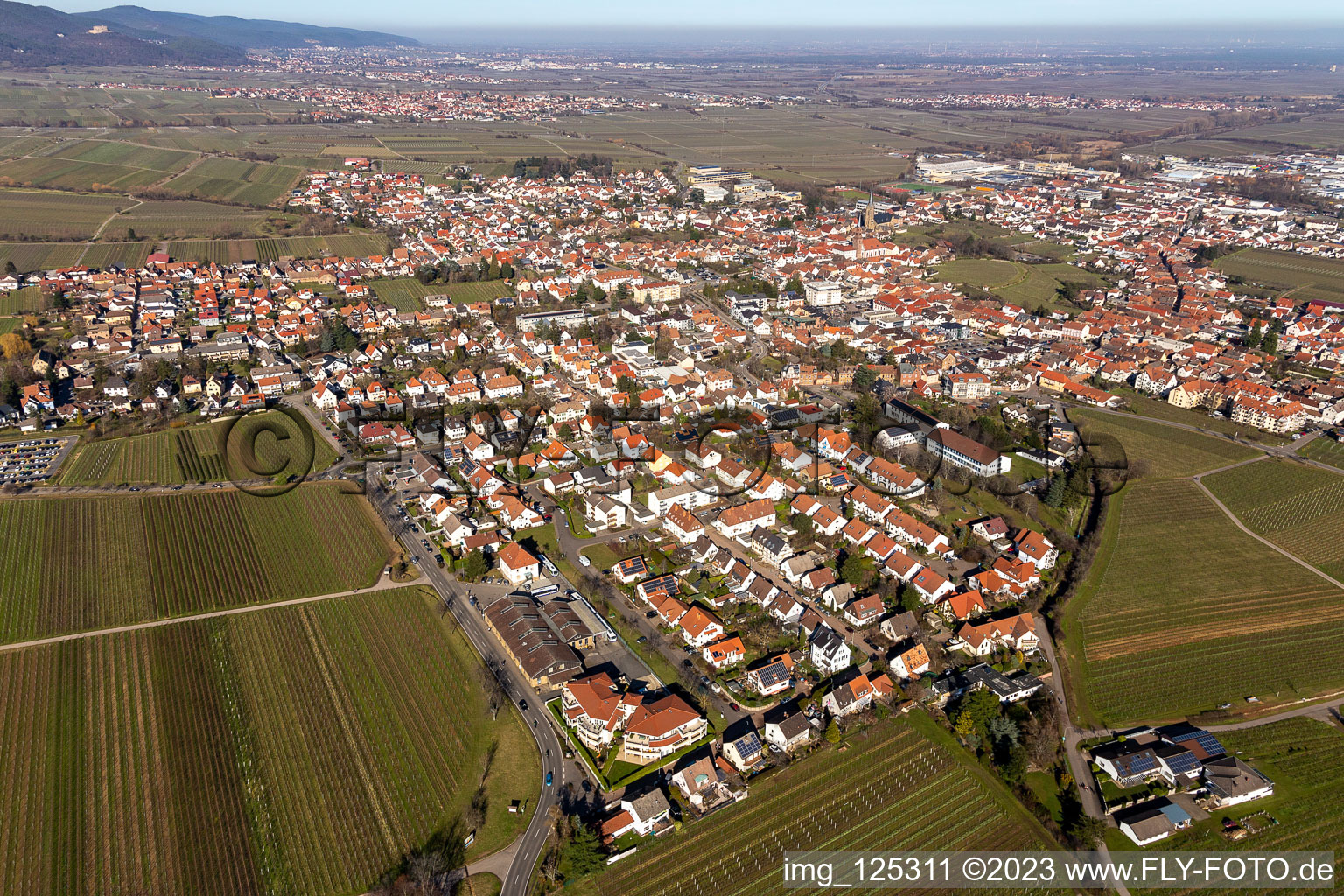 Edenkoben im Bundesland Rheinland-Pfalz, Deutschland von einer Drohne aus