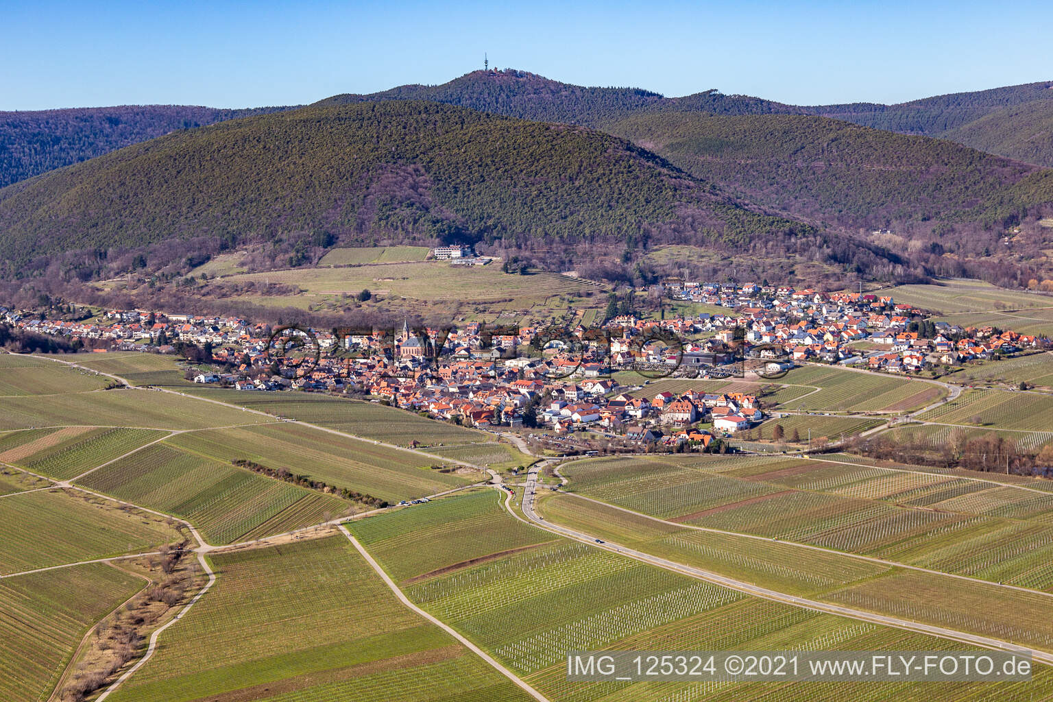 Sankt Martin im Bundesland Rheinland-Pfalz, Deutschland von oben gesehen