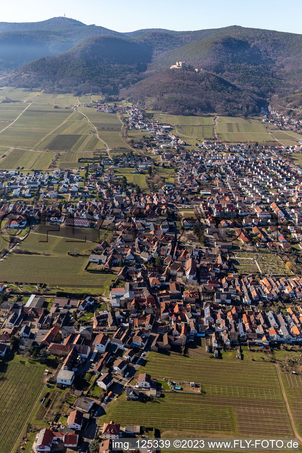 Ortsteil Diedesfeld in Neustadt an der Weinstraße im Bundesland Rheinland-Pfalz, Deutschland vom Flugzeug aus