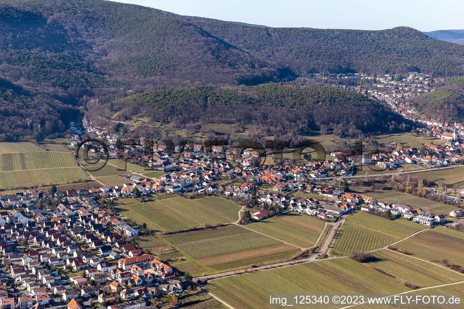 Ortsteil Hambach an der Weinstraße in Neustadt an der Weinstraße im Bundesland Rheinland-Pfalz, Deutschland von oben gesehen