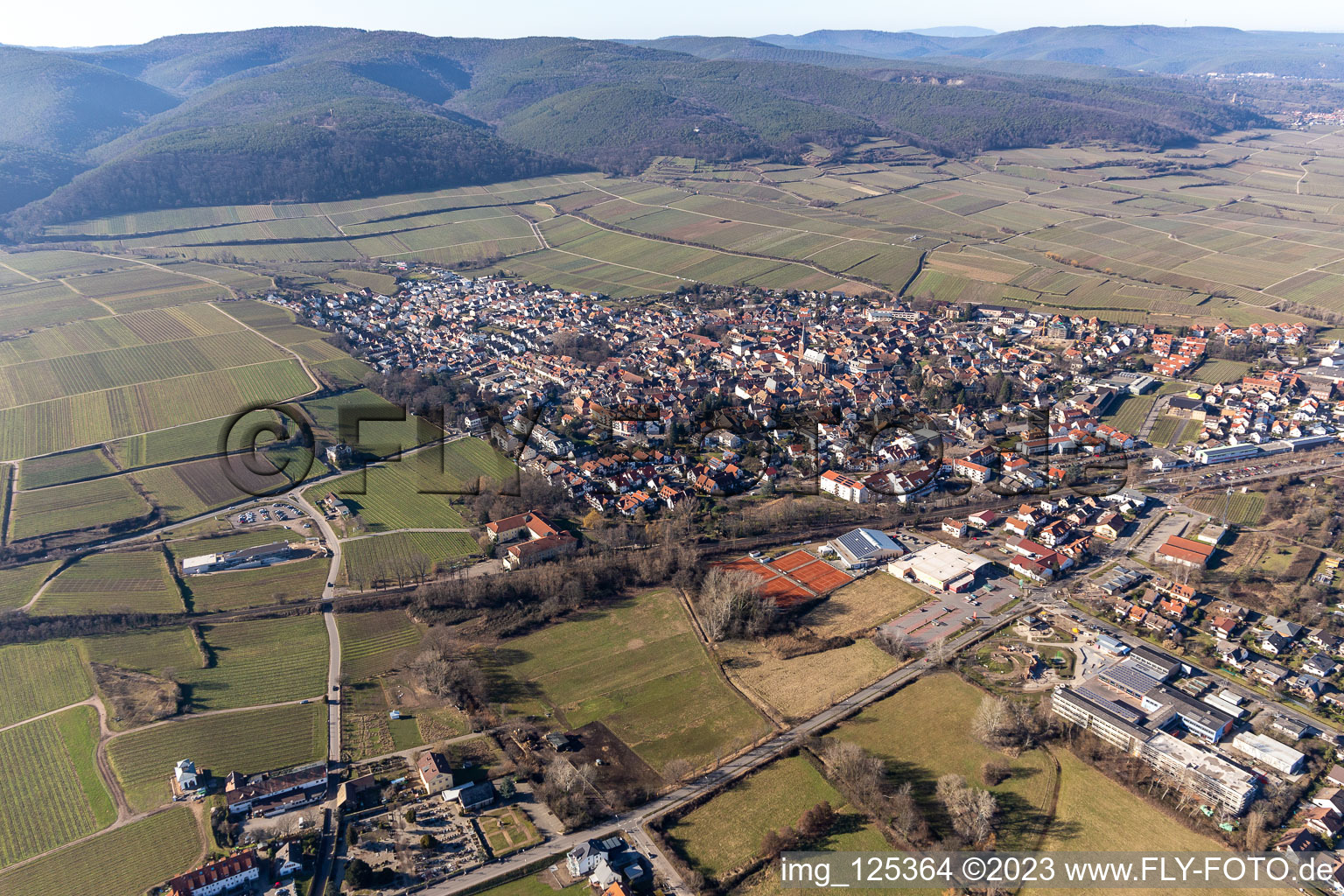 Ruppertsberg im Bundesland Rheinland-Pfalz, Deutschland aus der Drohnenperspektive