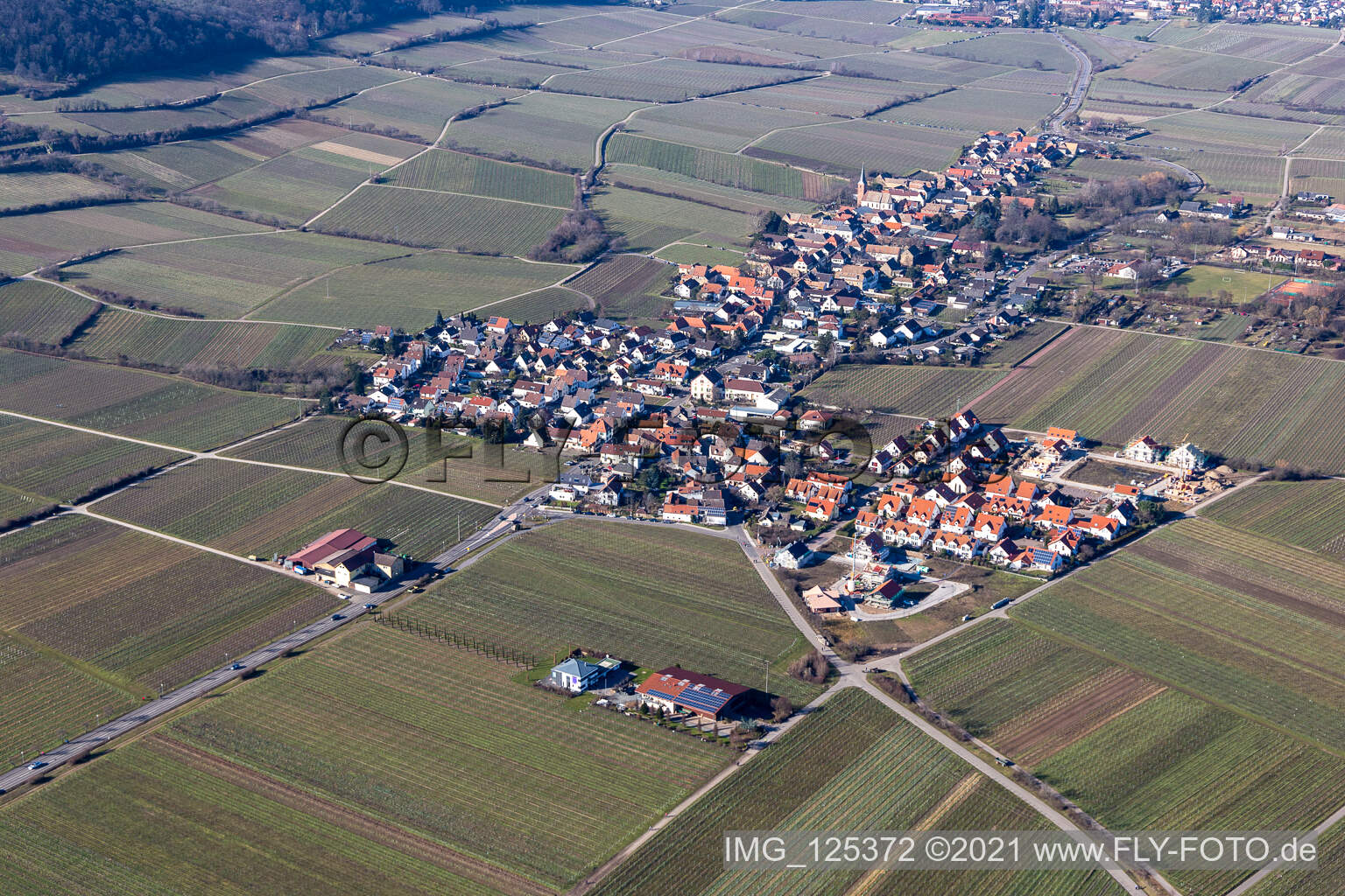 Luftaufnahme von Dorf - Ansicht am Rande von Weinbergen in Forst an der Weinstraße im Bundesland Rheinland-Pfalz, Deutschland