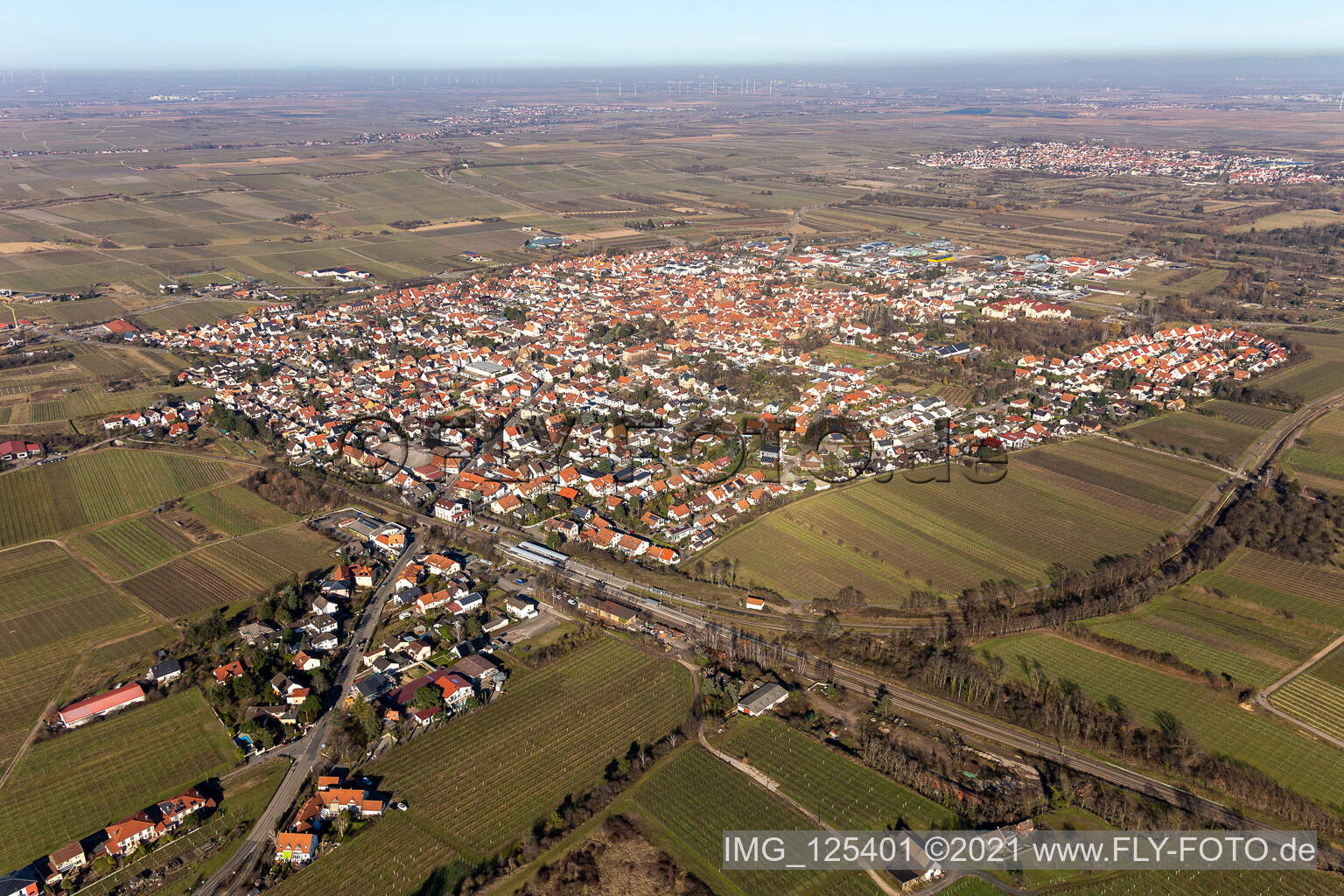 Ortsansicht der Straßen und Häuser der Wohngebiete inmitten von Weinbergen in Freinsheim im Bundesland Rheinland-Pfalz, Deutschland