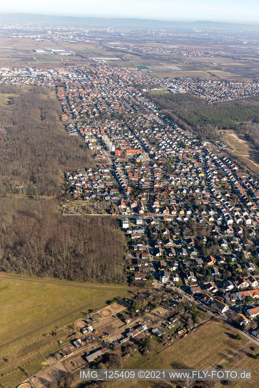Luftbild von Stadtgebiet mit Außenbezirken und Innenstadtbereich in Maxdorf in Birkenheide im Bundesland Rheinland-Pfalz, Deutschland