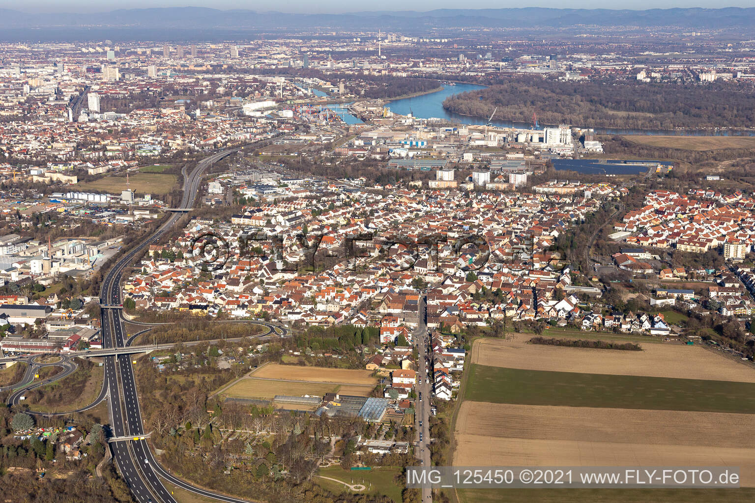 Luftbild von Ortsansicht der Straßen und Häuser der Wohngebiete im Ortsteil Rheingönheim in Ludwigshafen am Rhein im Bundesland Rheinland-Pfalz, Deutschland