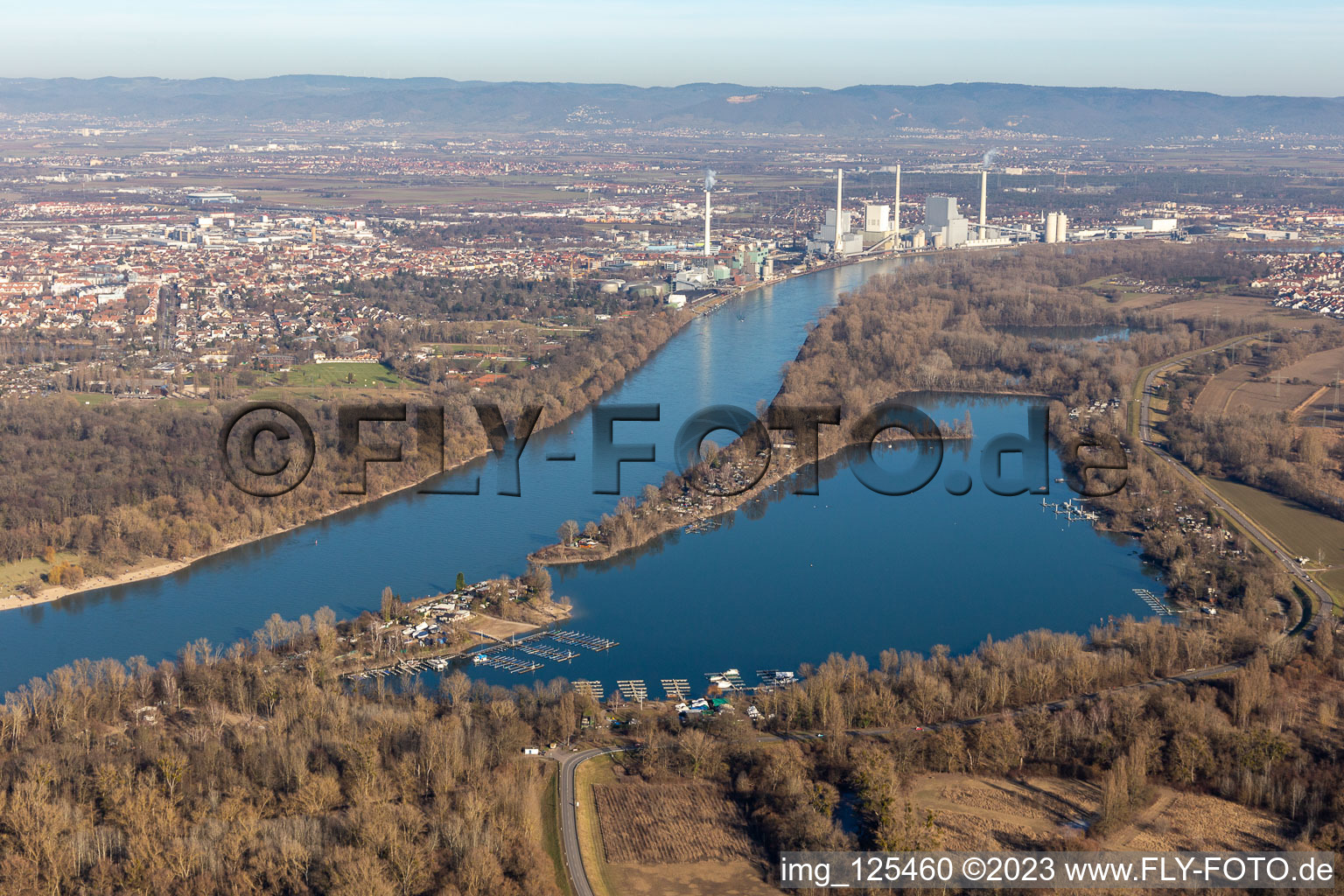 Luftbild von Kiefweiher im Ortsteil Rheingönheim in Ludwigshafen am Rhein im Bundesland Rheinland-Pfalz, Deutschland