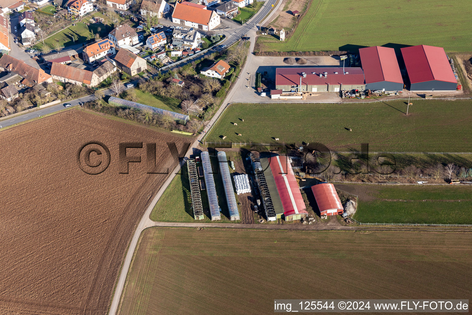 Luftaufnahme von Ortsteil Bruchhausen in Sandhausen im Bundesland Baden-Württemberg, Deutschland