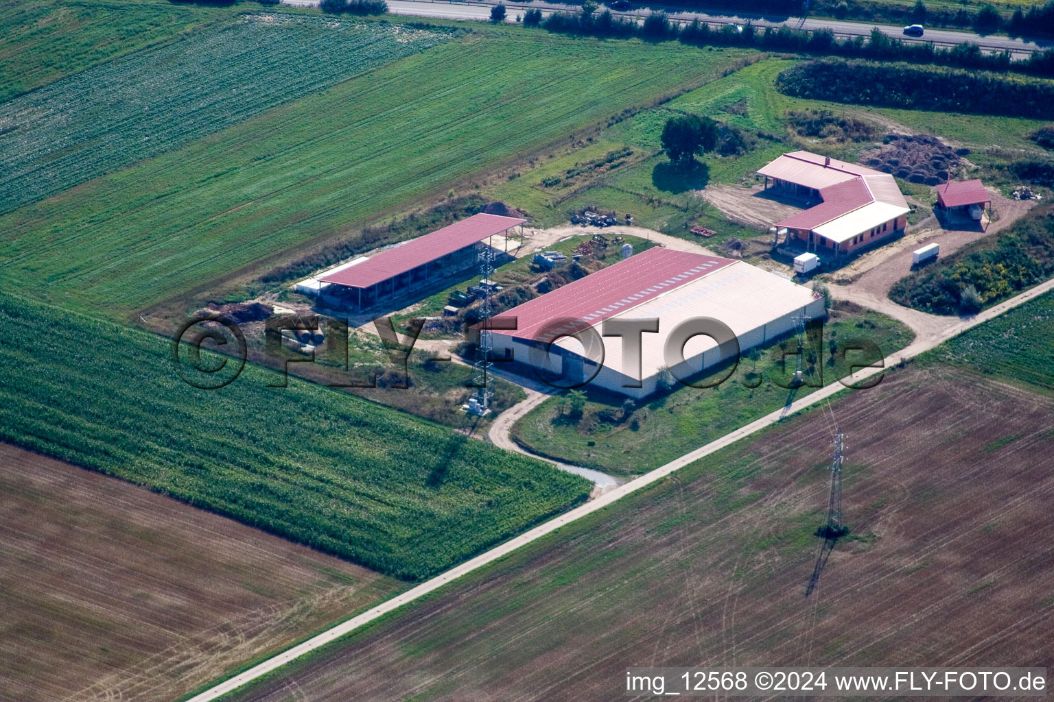 Luftaufnahme von Hühnerhof Eierfarm in Erlenbach bei Kandel im Bundesland Rheinland-Pfalz, Deutschland