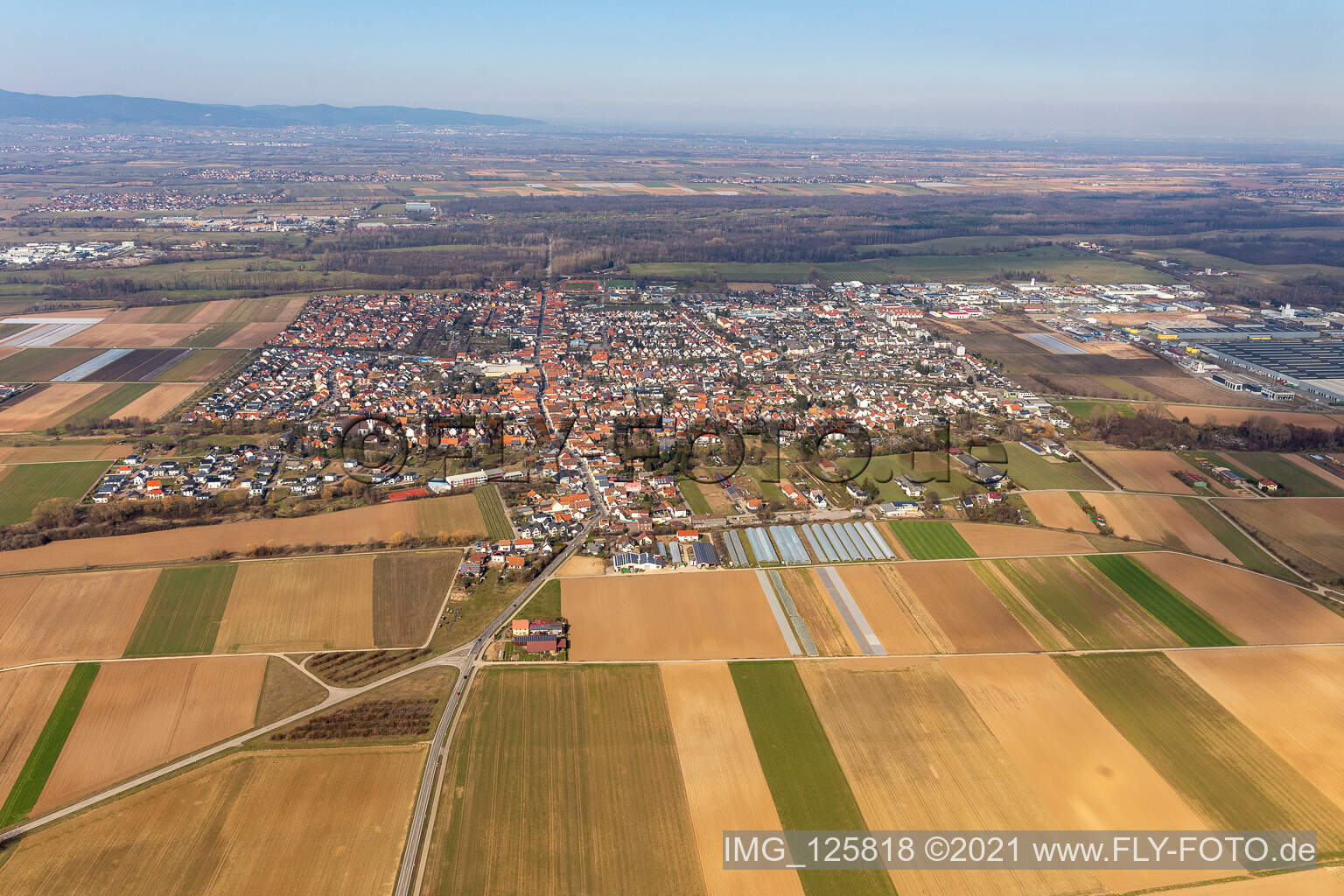 Luftbild von Ortsansicht der Straßen und Häuser der Wohngebiete in Offenbach an der Queich im Bundesland Rheinland-Pfalz, Deutschland