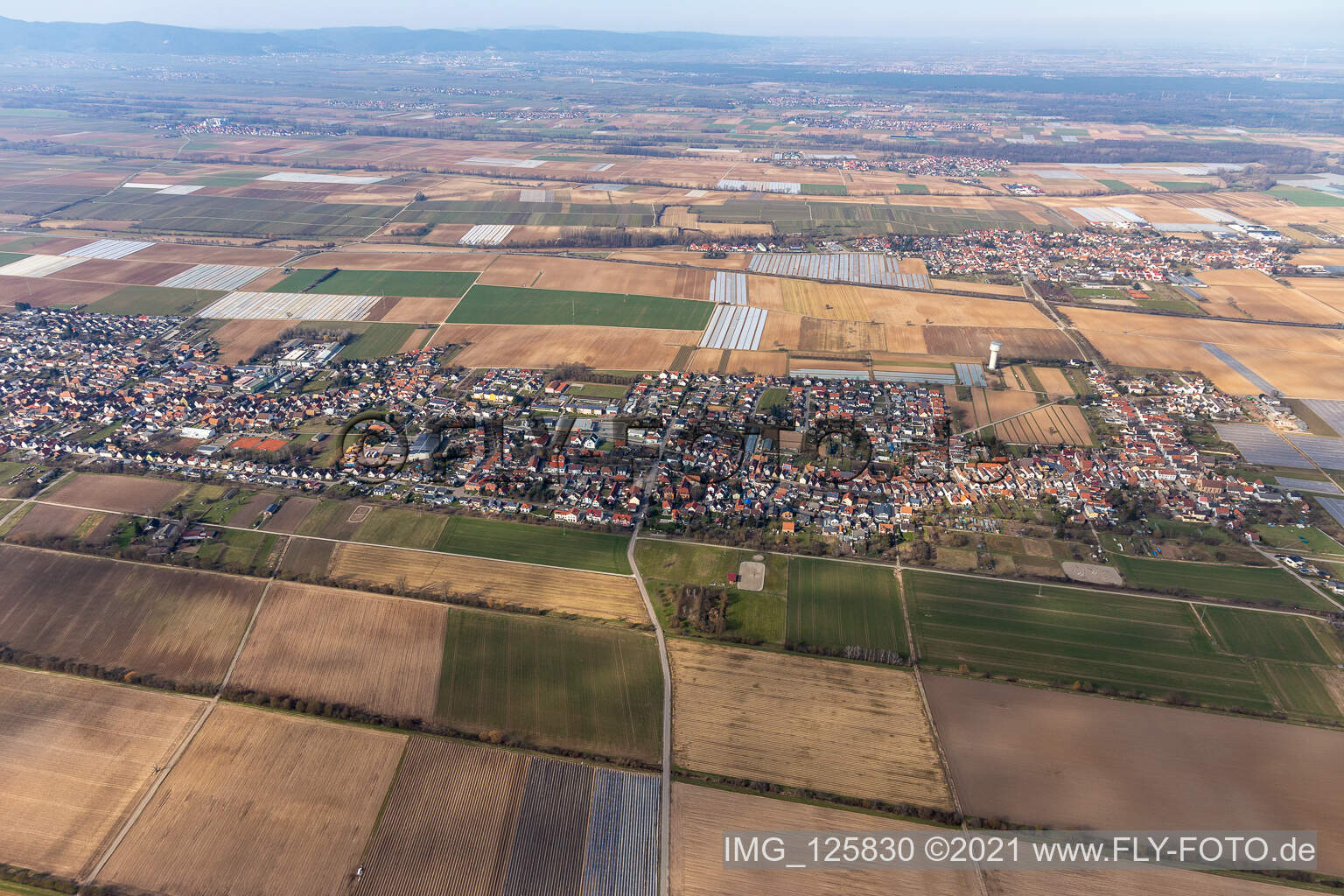 Luftbild von Lustadt im Bundesland Rheinland-Pfalz, Deutschland