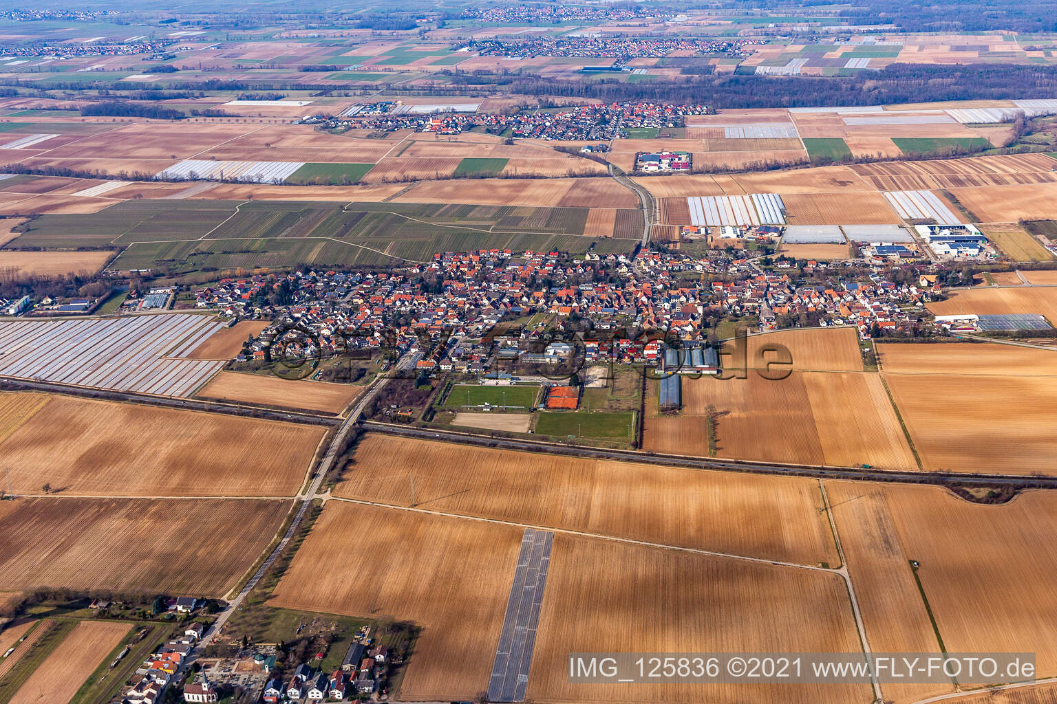 Schrägluftbild von Dorf - Ansicht am Rande von landwirtschaftlichen Feldern und Nutzflächen in Weingarten (Pfalz) im Bundesland Rheinland-Pfalz, Deutschland