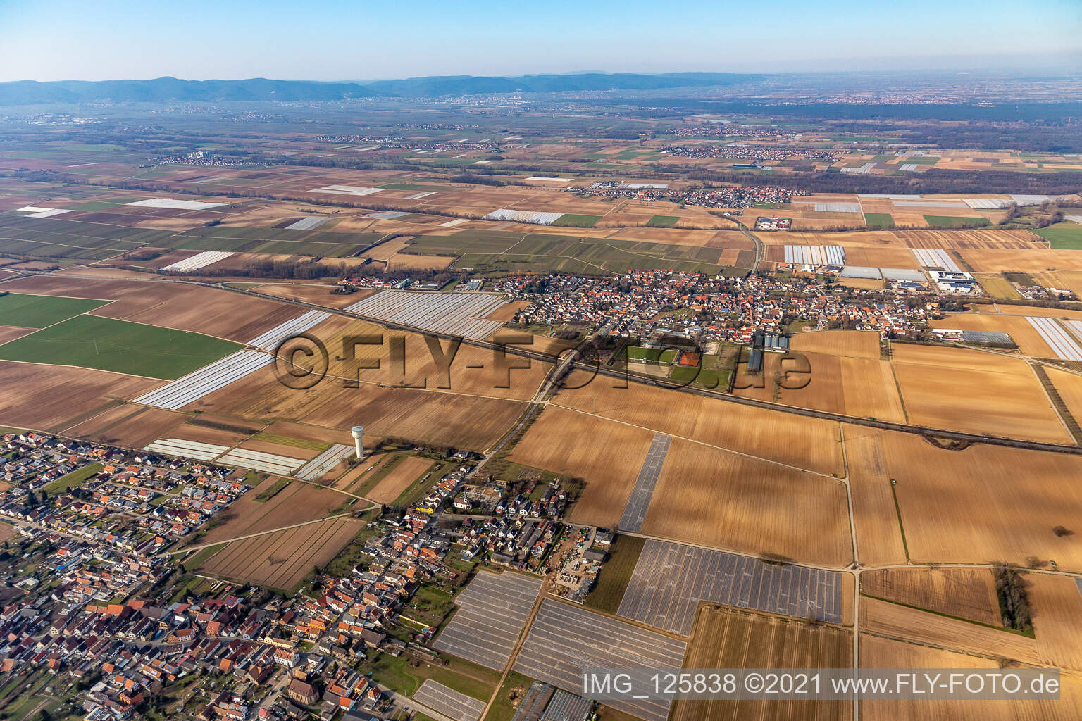 Weingarten im Bundesland Rheinland-Pfalz, Deutschland aus der Luft betrachtet