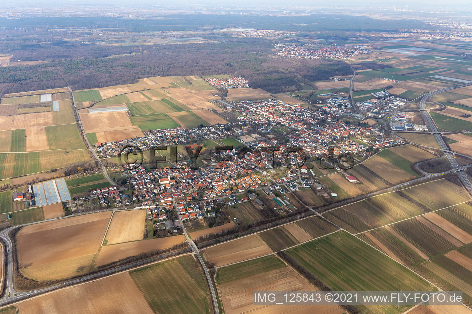 Drohnenbild von Schwegenheim im Bundesland Rheinland-Pfalz, Deutschland