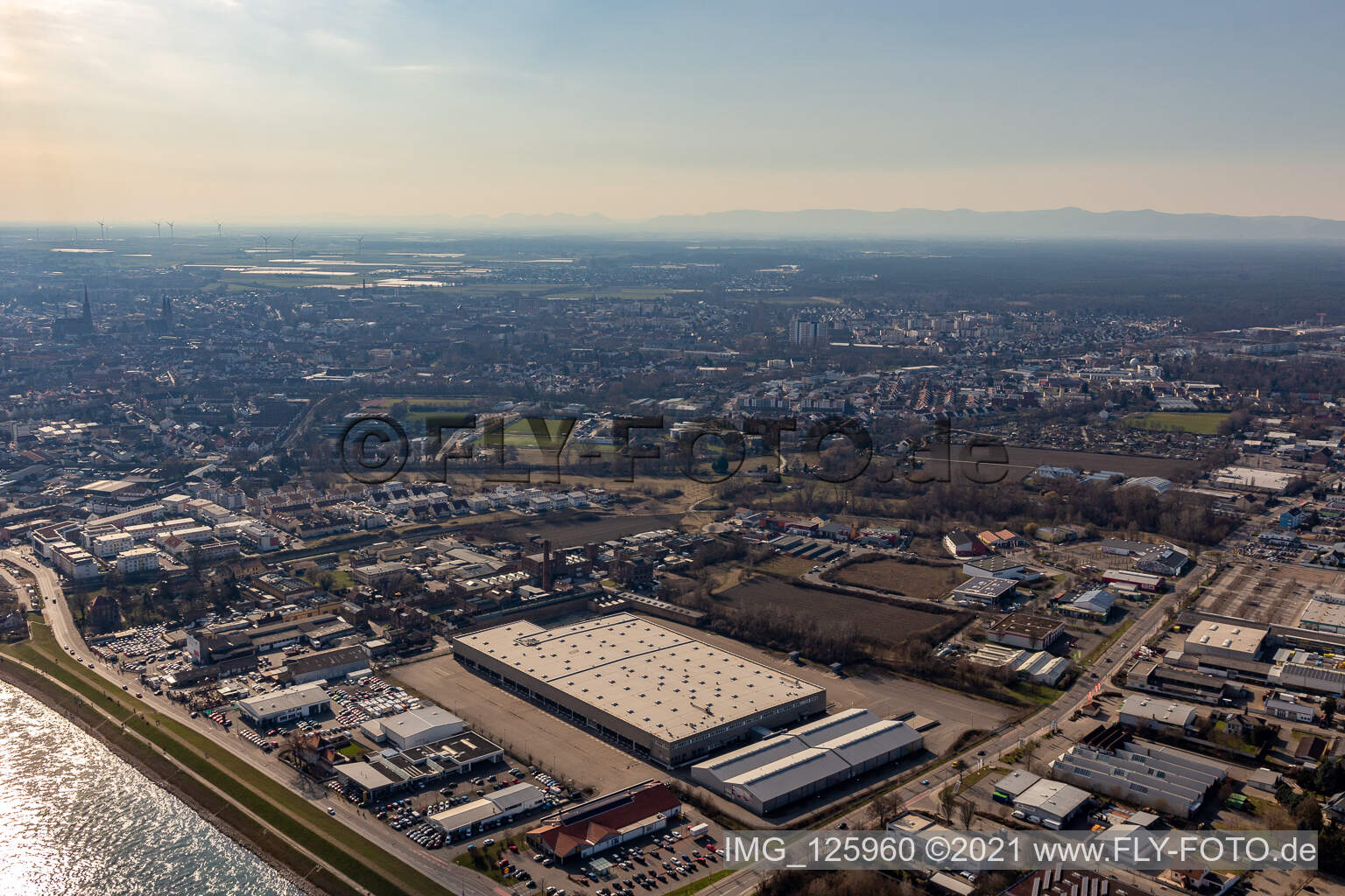 Luftbild von Industriegebiet Auestraße, Lidl Commerce Lager in Speyer im Bundesland Rheinland-Pfalz, Deutschland