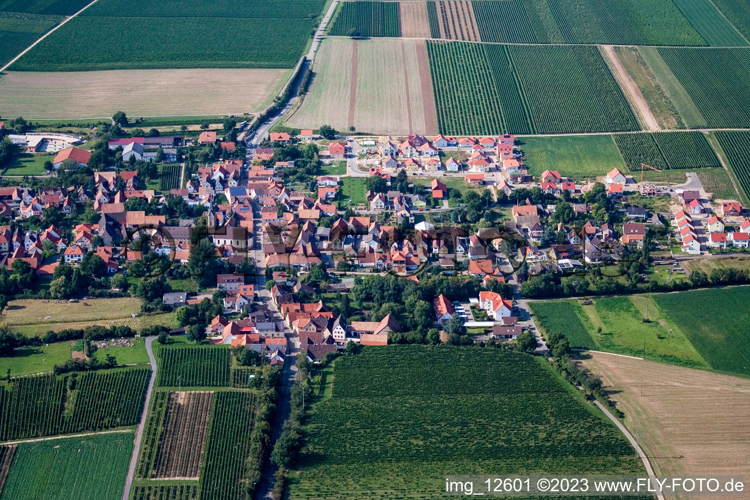 Essingen im Bundesland Rheinland-Pfalz, Deutschland aus der Luft
