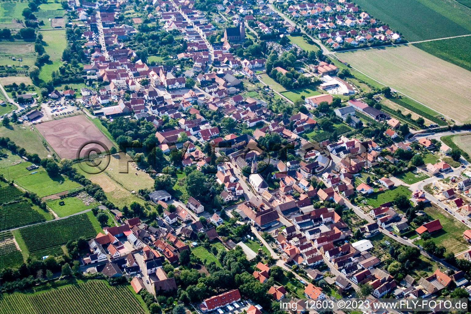 Essingen im Bundesland Rheinland-Pfalz, Deutschland von oben gesehen