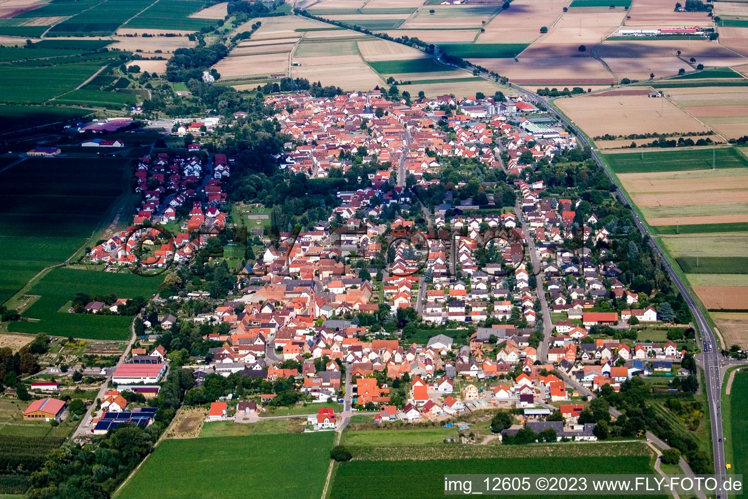 Essingen im Bundesland Rheinland-Pfalz, Deutschland vom Flugzeug aus