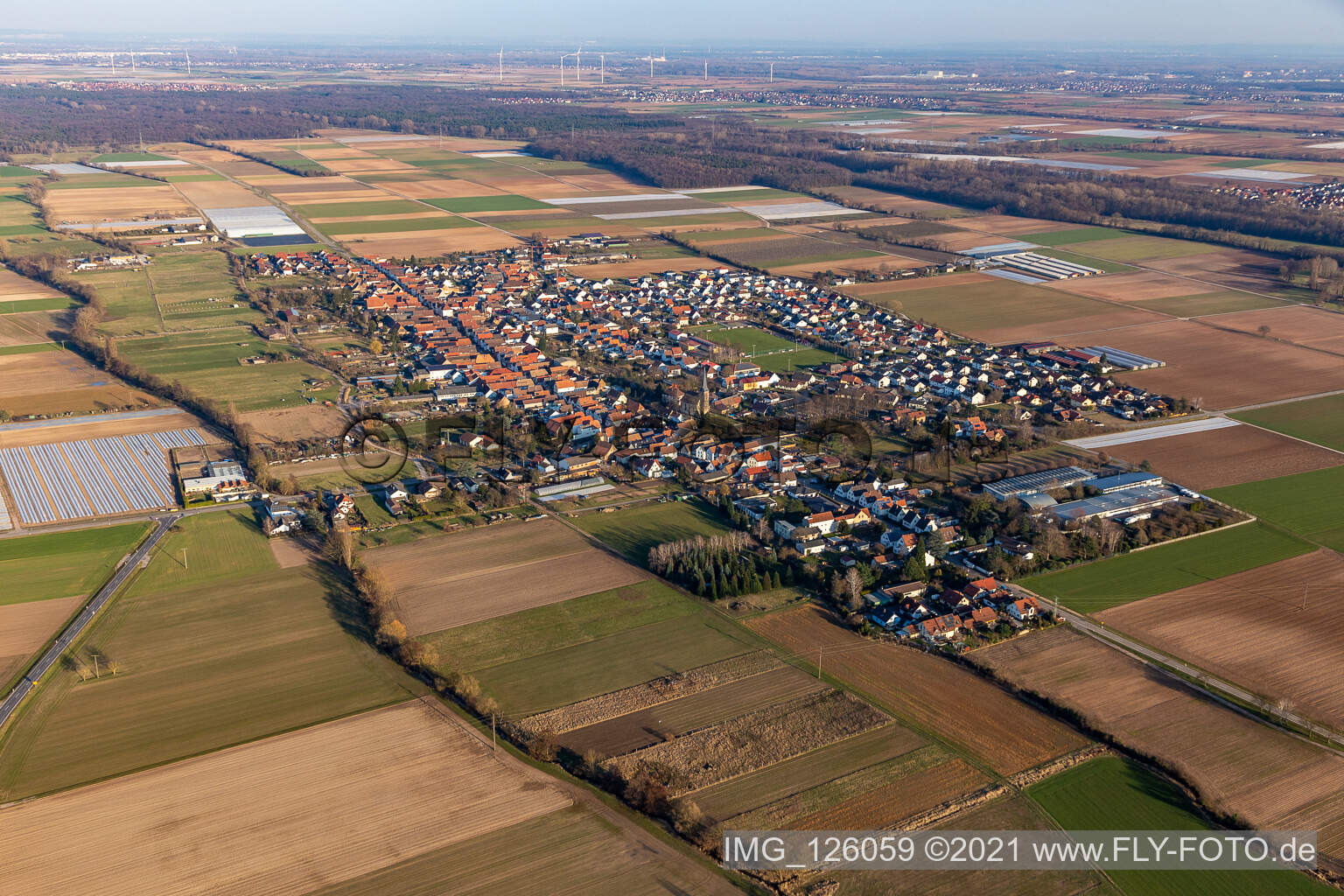 Ortsansicht am Rande von landwirtschaftlichen Feldern und Nutzflächen in Gommersheim im Bundesland Rheinland-Pfalz, Deutschland