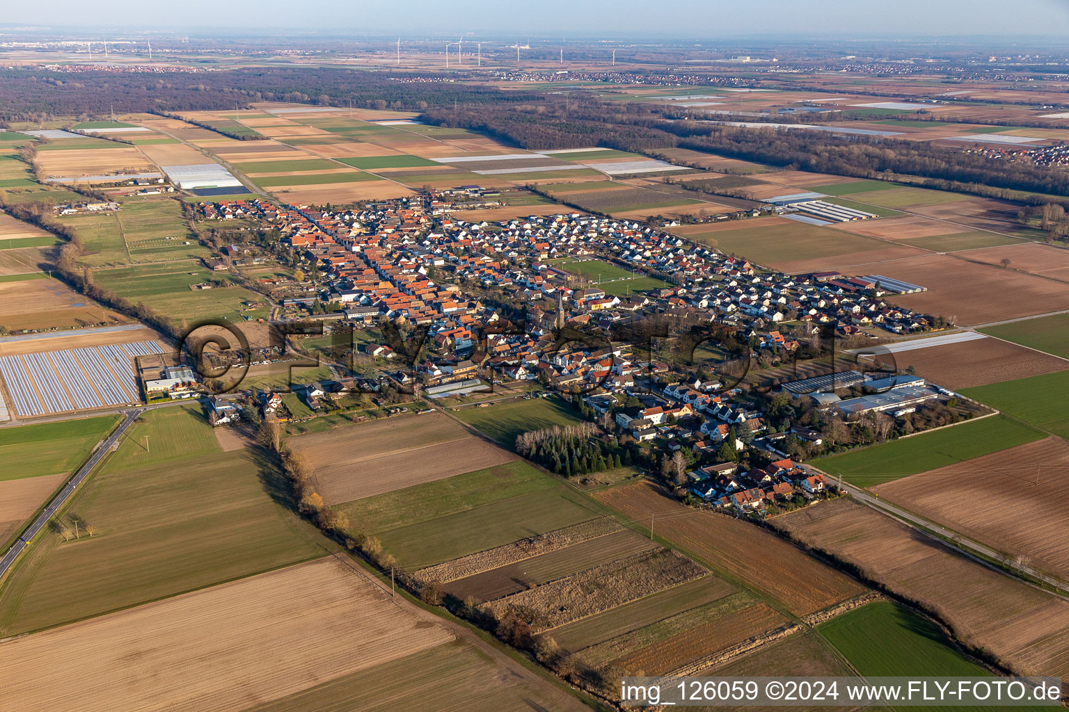 Ortsansicht am Rande von landwirtschaftlichen Feldern und Nutzflächen in Gommersheim im Bundesland Rheinland-Pfalz, Deutschland