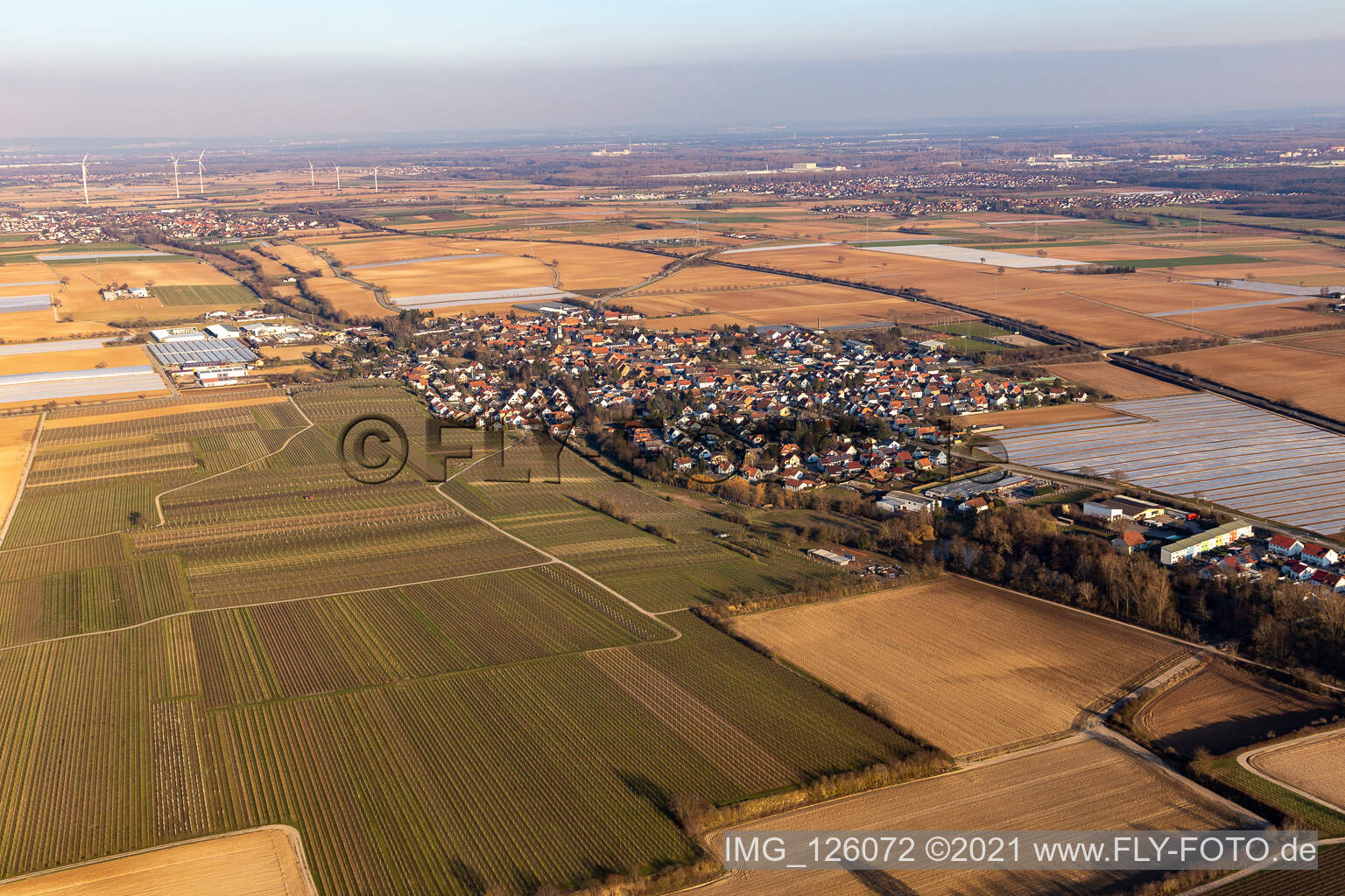 Drohnenaufname von Weingarten im Bundesland Rheinland-Pfalz, Deutschland