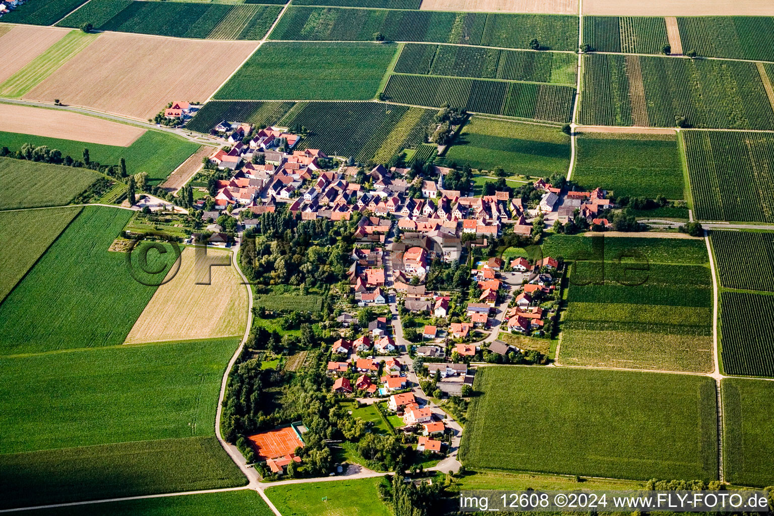 Dorf - Ansicht am Rande von landwirtschaftlichen Feldern und Nutzflächen im Ortsteil Eckel in Kleinfischlingen im Bundesland Rheinland-Pfalz, Deutschland