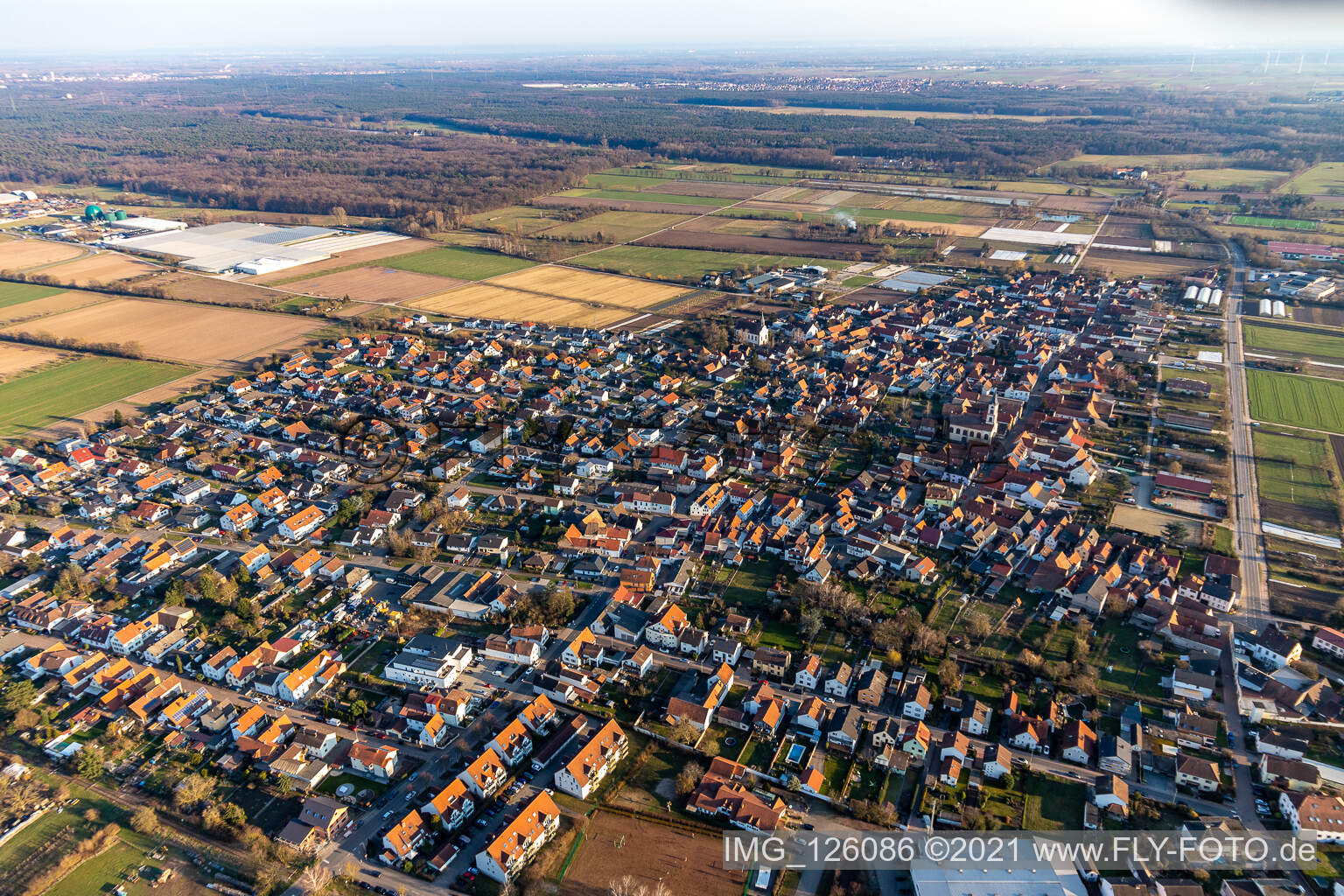 Luftbild von Ortsansicht am Rande von landwirtschaftlichen Feldern und Nutzflächen in Zeiskam im Bundesland Rheinland-Pfalz, Deutschland