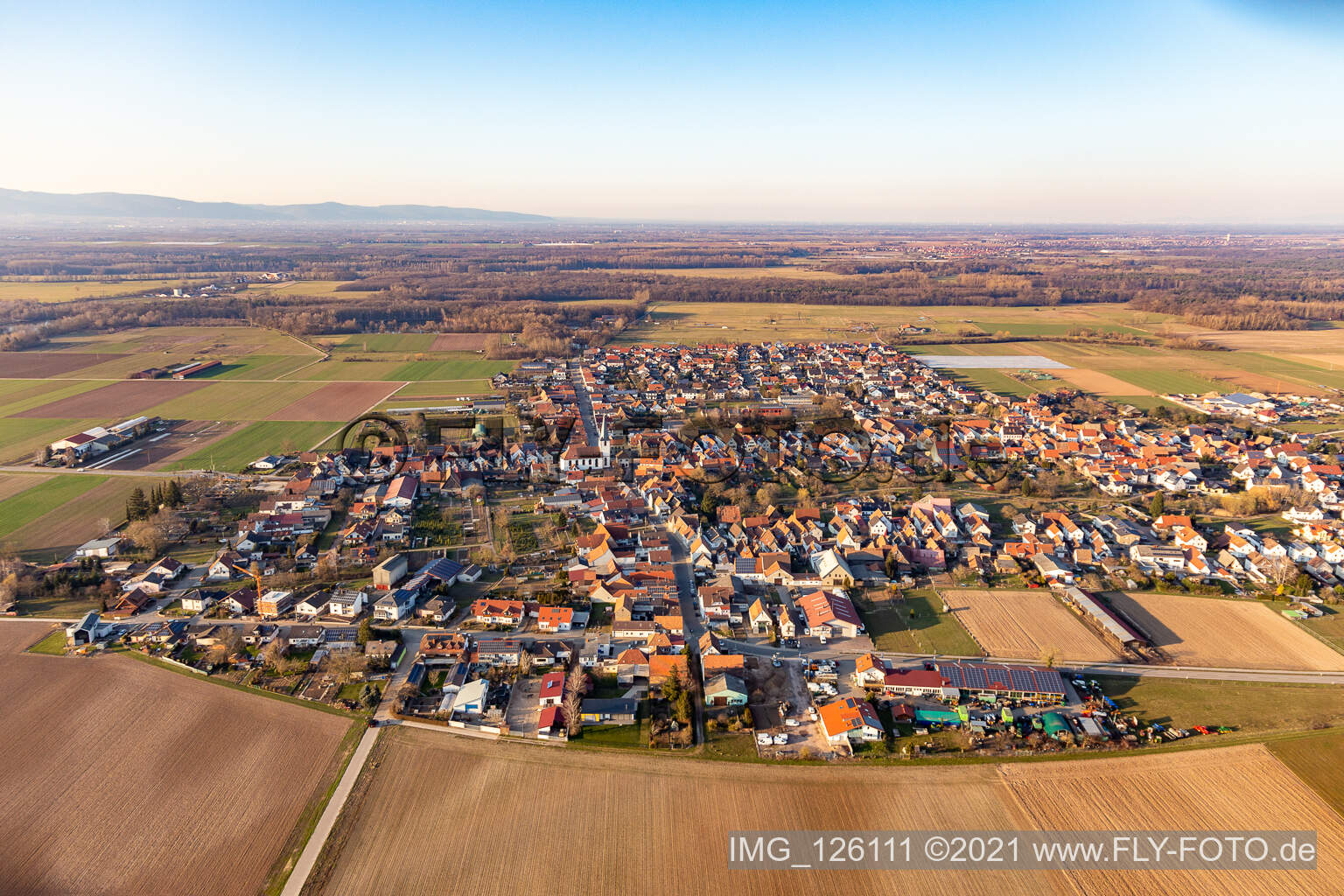 Luftaufnahme von Dorf - Ansicht am Rande von landwirtschaftlichen Feldern und Nutzflächen in Ottersheim bei Landau im Bundesland Rheinland-Pfalz, Deutschland