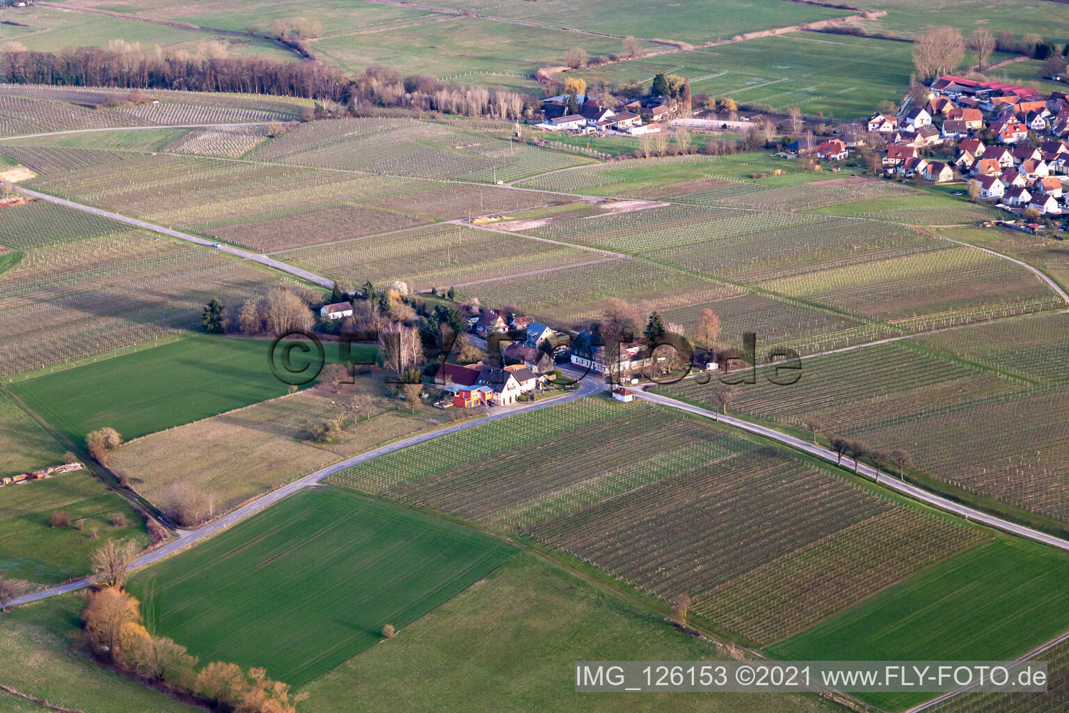 Windhof, grüne Grenze nach Frankreich in Schweighofen im Bundesland Rheinland-Pfalz, Deutschland