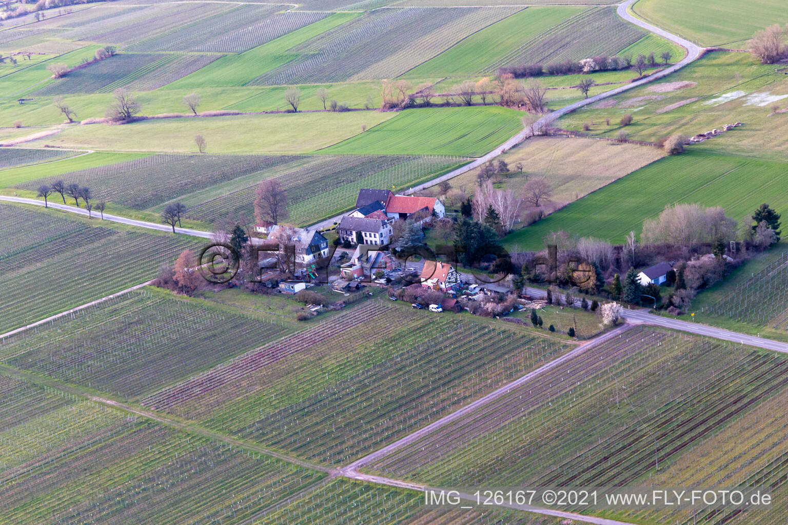 Schrägluftbild von Windhof, grüne Grenze nach Frankreich in Schweighofen im Bundesland Rheinland-Pfalz, Deutschland
