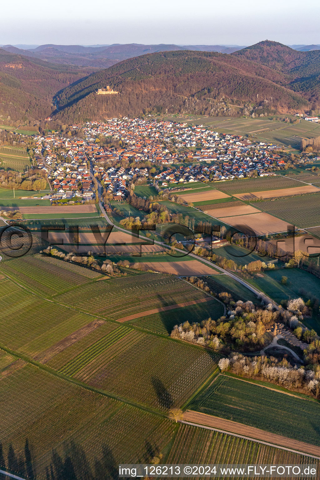 Klingbachtal in der Frühjahrsblüte in Klingenmünster im Bundesland Rheinland-Pfalz, Deutschland