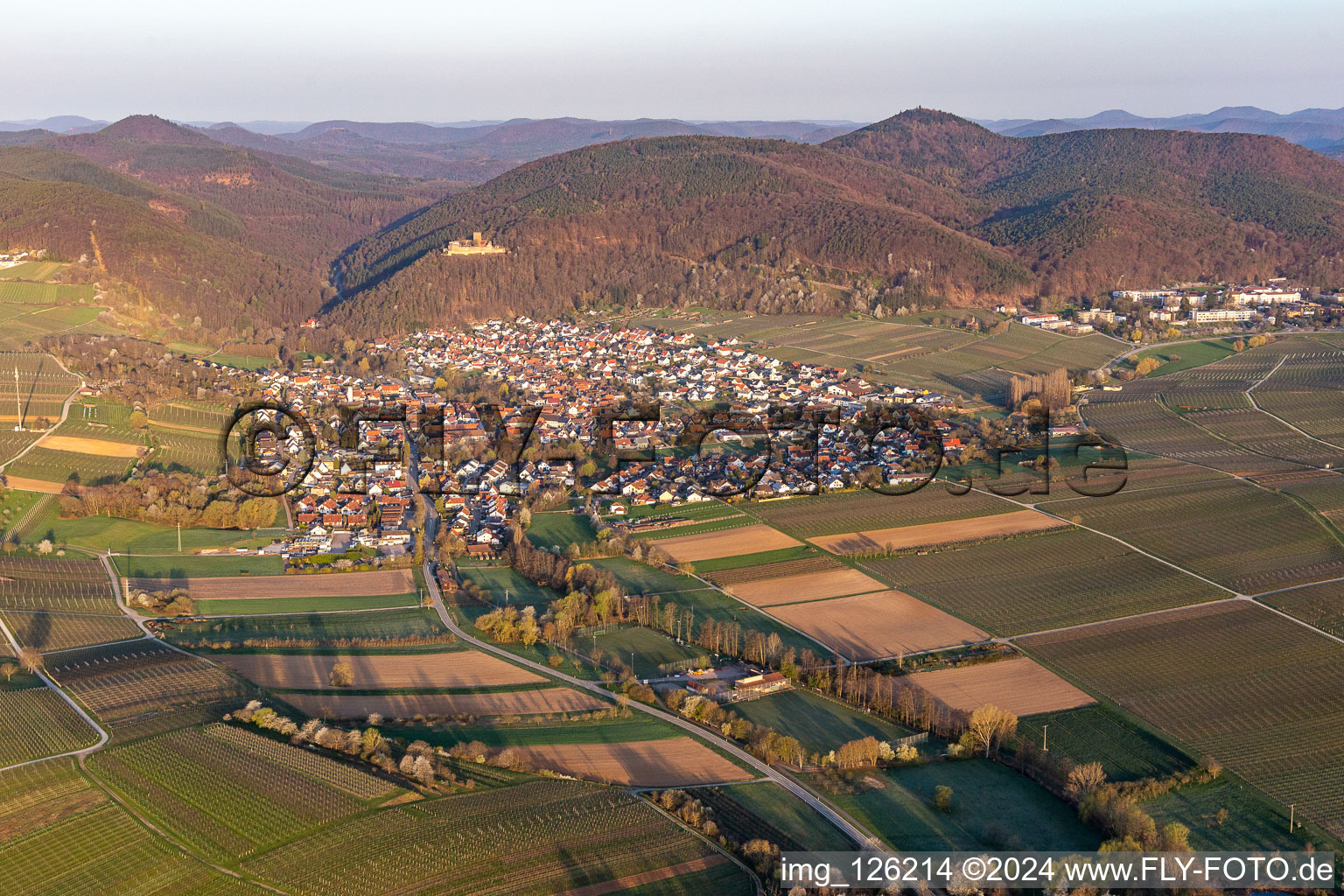 Klingbachtal in der Frühjahrsblüte am Haardtrand des Pfälzerwaldes in Klingenmünster im Bundesland Rheinland-Pfalz, Deutschland