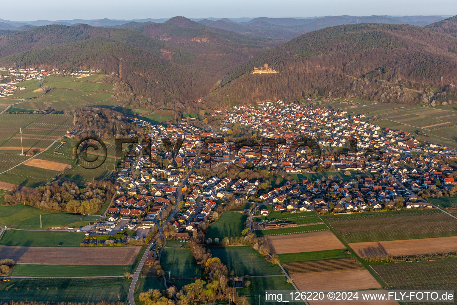 Im Morgenlicht in Klingenmünster im Bundesland Rheinland-Pfalz, Deutschland