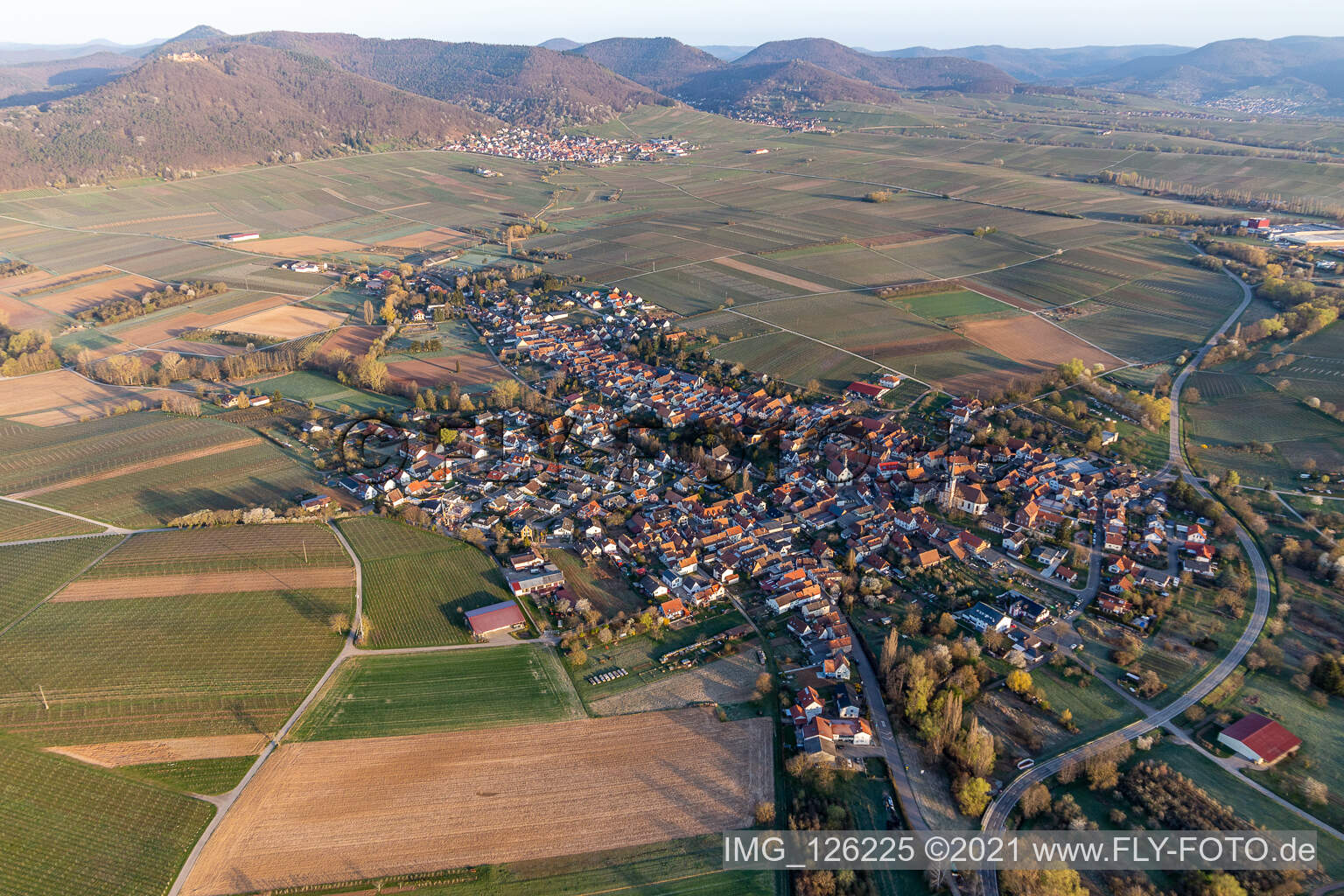 Landwirtschaftliche Nutzflächen und Feldgrenzen im Frühjahr umsäumen das Siedlungsgebiet des Dorfes in Göcklingen im Bundesland Rheinland-Pfalz, Deutschland